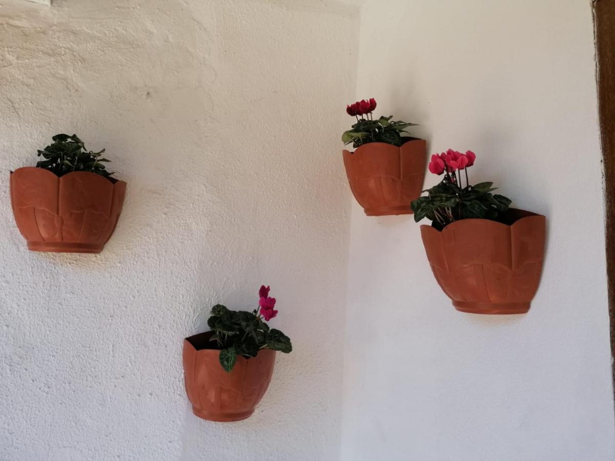 Casa Rosario Villa Mieres  Dış mekan fotoğraf